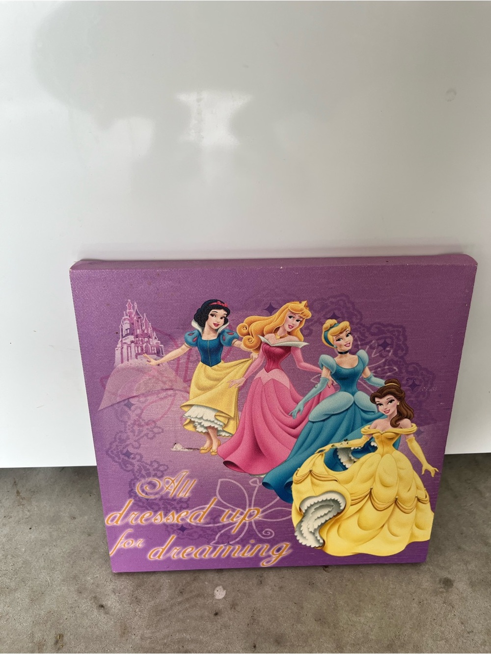 Disney Princess Canvas Art - Purple, Pink, Yellow, Blue